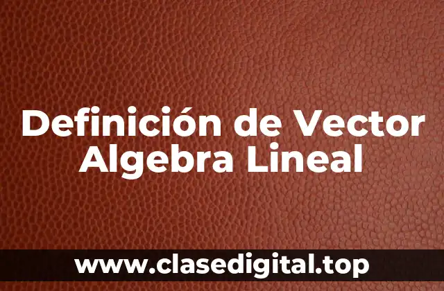 Definición de Vector Algebra Lineal