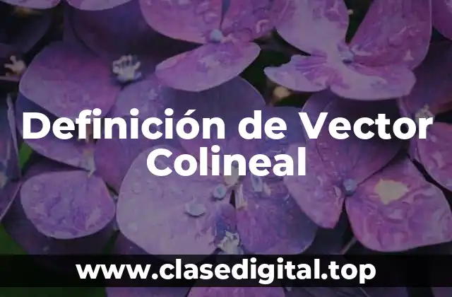 Definición de Vector Colineal