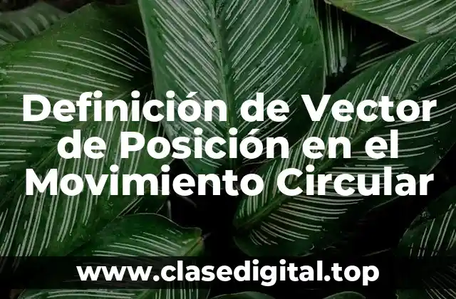 Definición de Vector de Posición en el Movimiento Circular