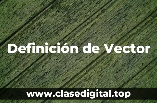 Definición de Vector