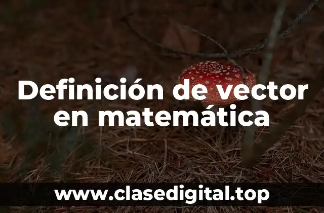 Definición de vector en matemática