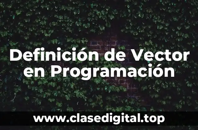 Definición de Vector en Programación