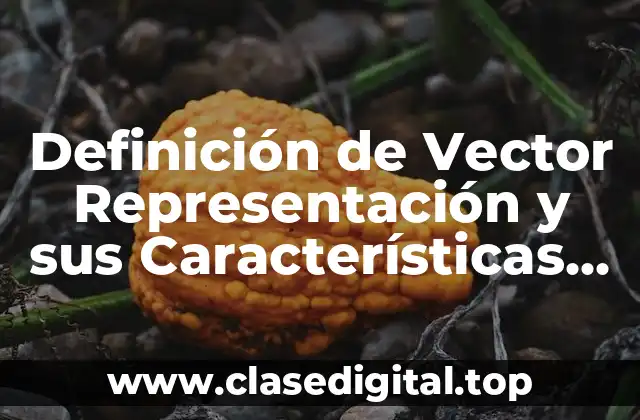 Definición de Vector Representación y sus Características en Física