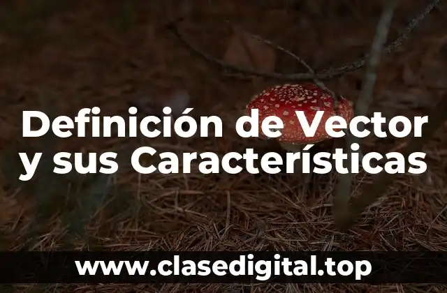Definición de Vector y sus Características