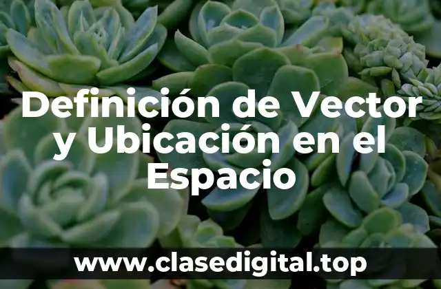 Definición de Vector y Ubicación en el Espacio