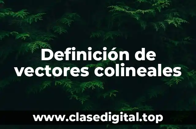 Definición técnica de vectores colineales