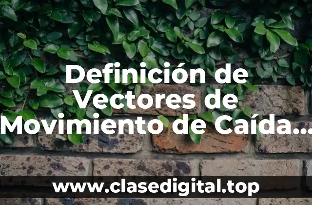 Definición de Vectores de Movimiento de Caída Libre