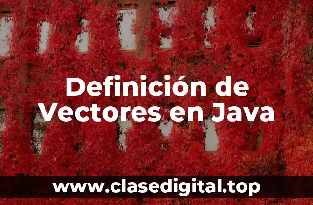 Definición de Vectores en Java