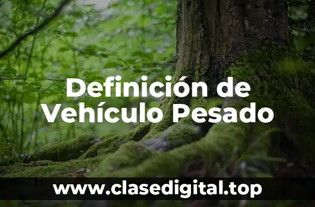 Definición tecnica de vehículo pesado