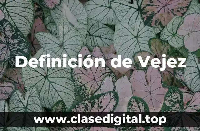 Definición técnica de vejez