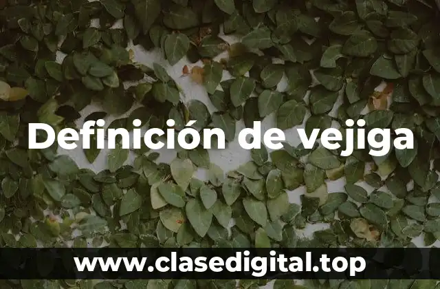 Ejemplos de vejiga