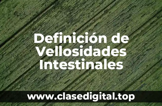 Definición de Vellosidades Intestinales