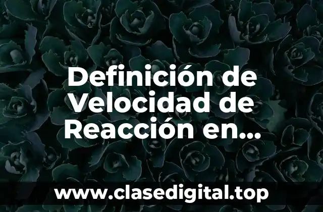 Ejemplos de Velocidad de Reacción