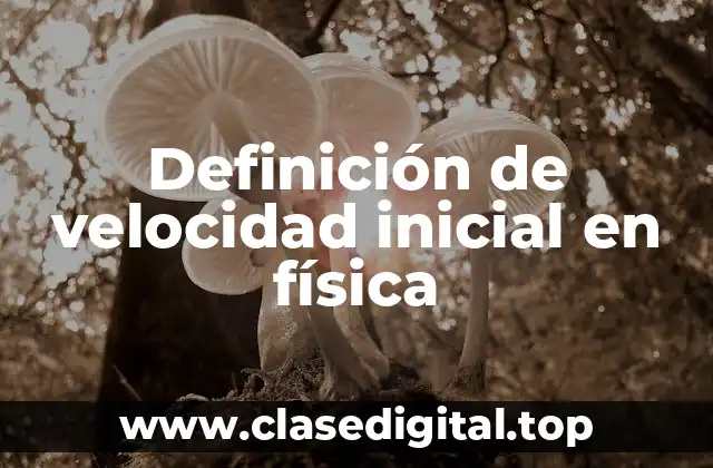 Definición de velocidad inicial en física