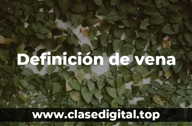 Definición técnica de vena