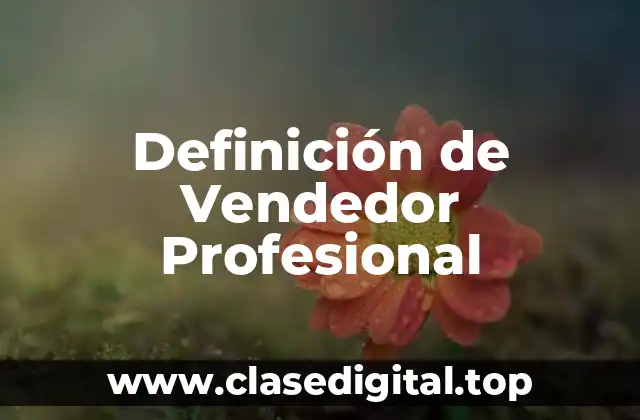 Definición de Vendedor Profesional