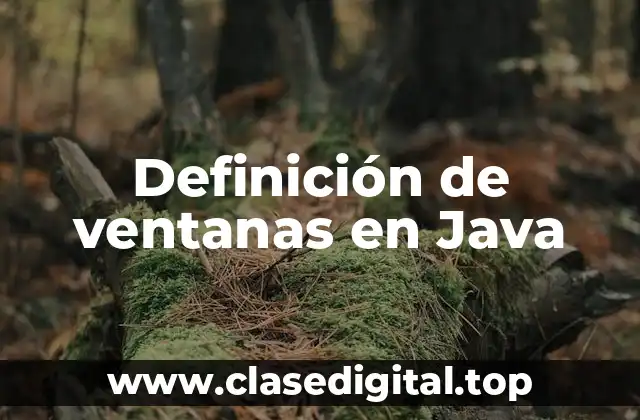 Definición de ventanas en Java