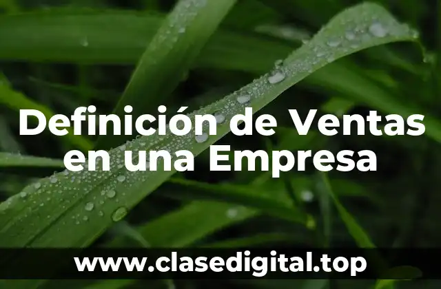 Definición de Ventas en una Empresa