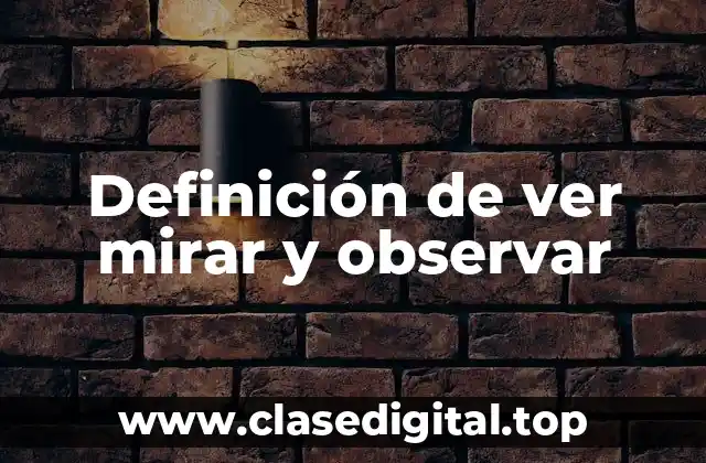 Definición técnica de ver mirar y observar