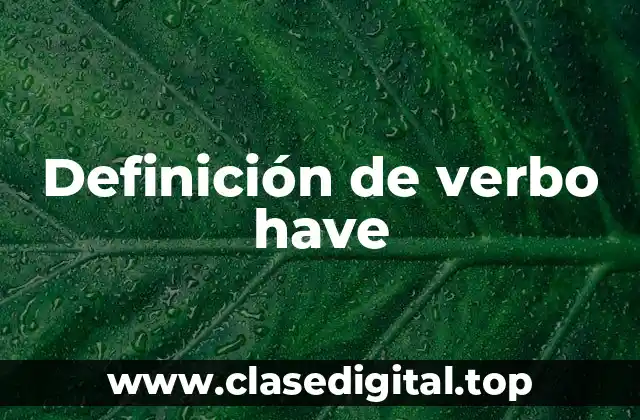 Definición de verbo have