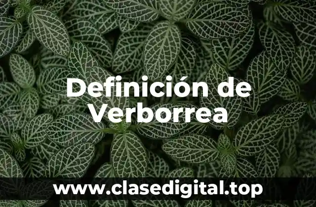 Definición de Verborrea