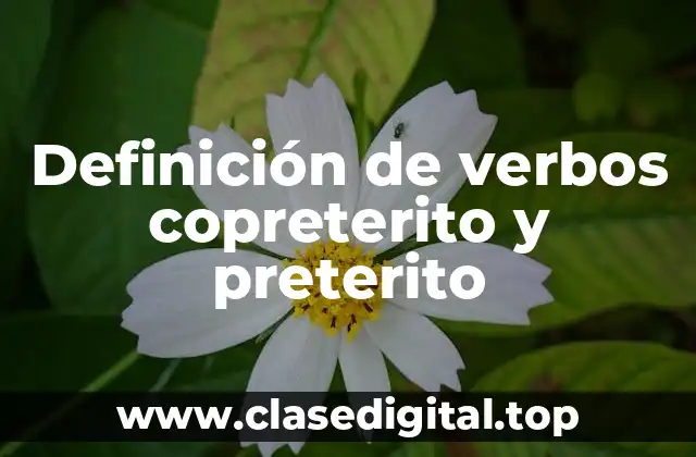 Definición de verbos copreterito y preterito