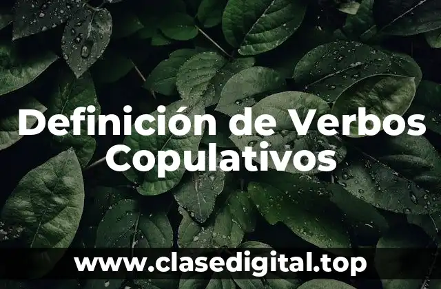 Definición Técnica de Verbos Copulativos
