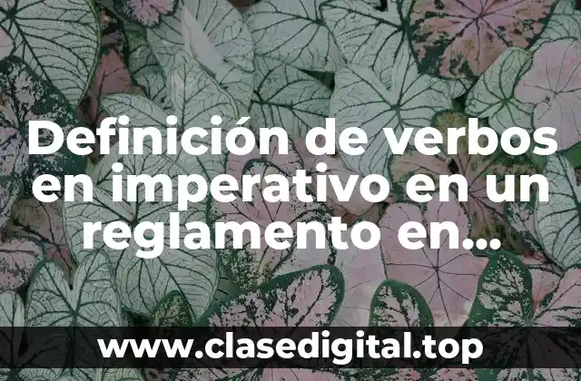 Definición de verbos en imperativo en un reglamento en inglés