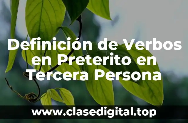 Definición de Verbos en Preterito en Tercera Persona