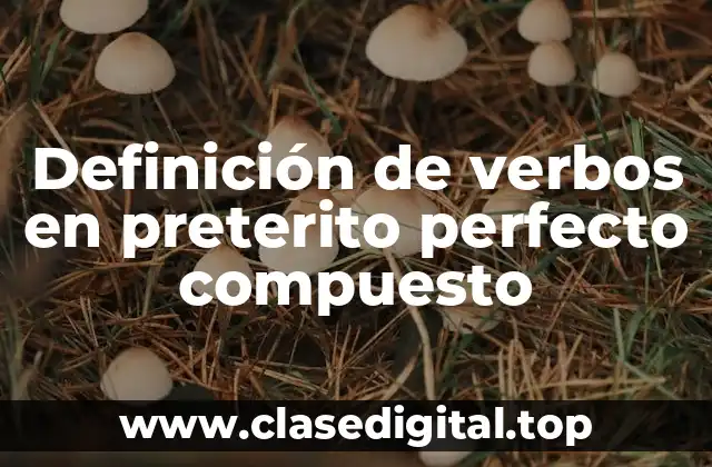 Definición de verbos en preterito perfecto compuesto