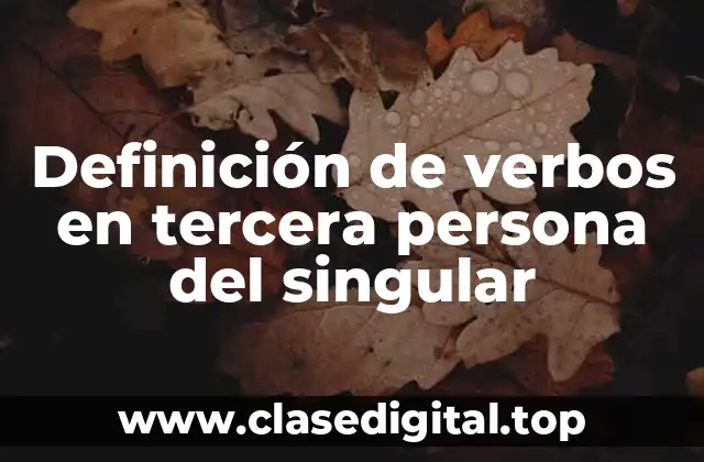 Definición de verbos en tercera persona del singular