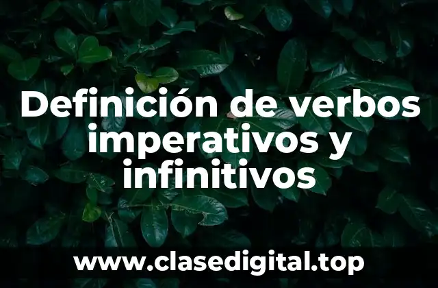 Definición de verbos imperativos y infinitivos