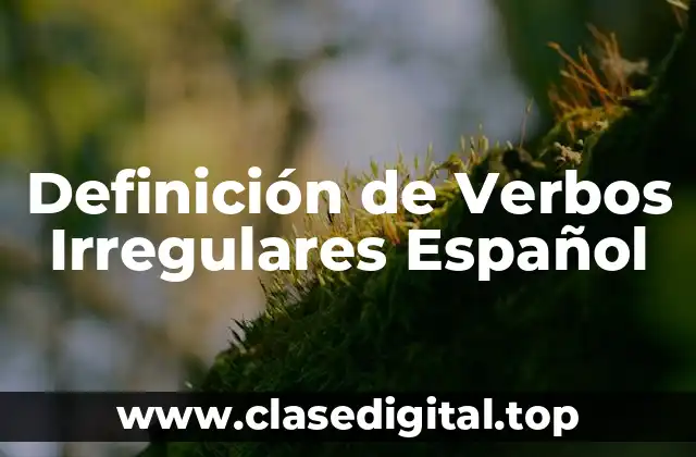Definición de Verbos Irregulares Español