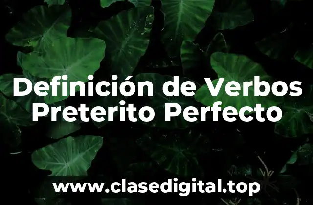 Definición de Verbos Preterito Perfecto