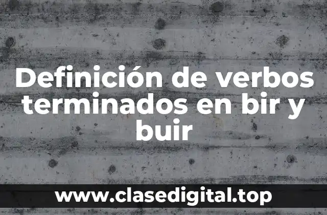 Definición de verbos terminados en bir y buir