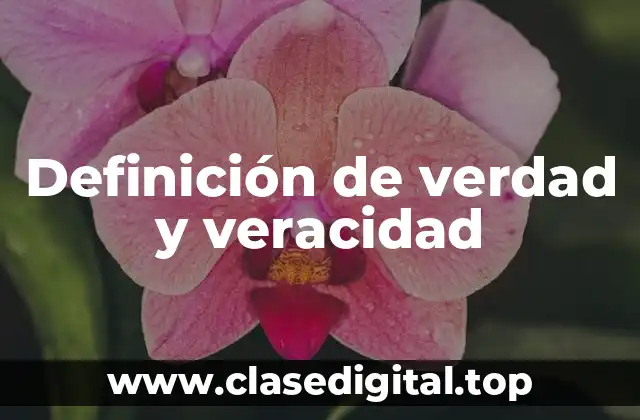 Ejemplos de verdad y veracidad