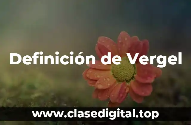 Definición de Vergel