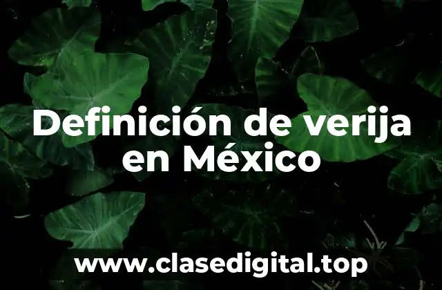 Definición de verija en México