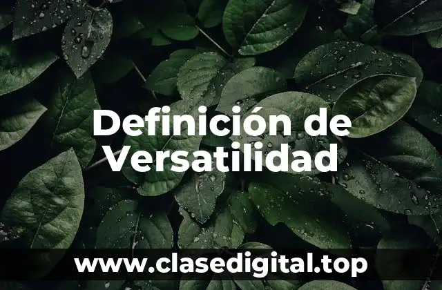 Definición Técnica de Versatilidad