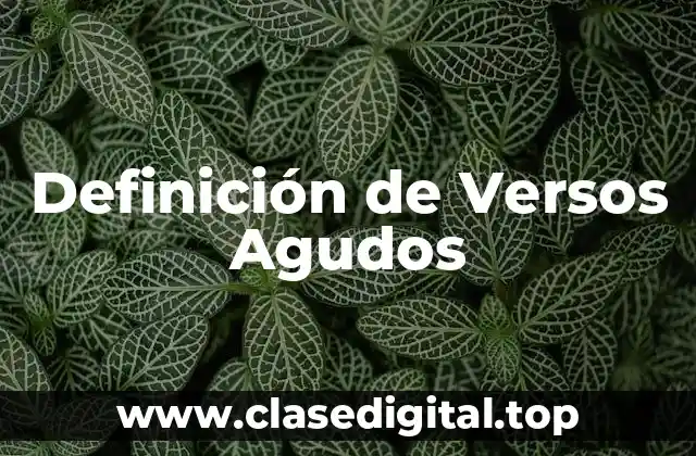 Definición de Versos Agudos