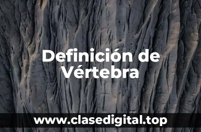 Definición de Vértebra