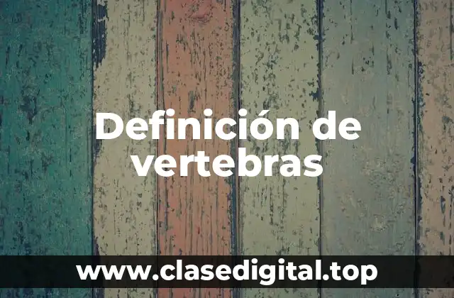 Definición de vertebras