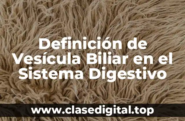 Definición de Vesícula Biliar en el Sistema Digestivo