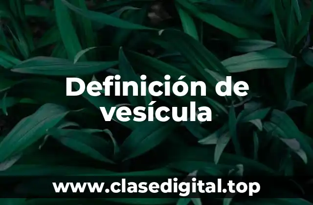 Definición de vesícula