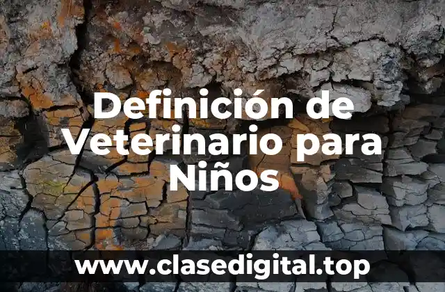 Definición de Veterinario para Niños