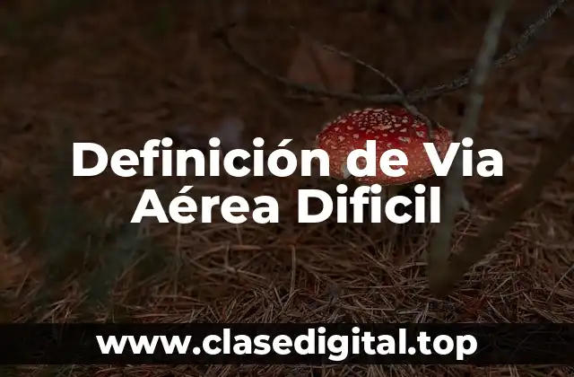 Definición de Via Aérea Dificil