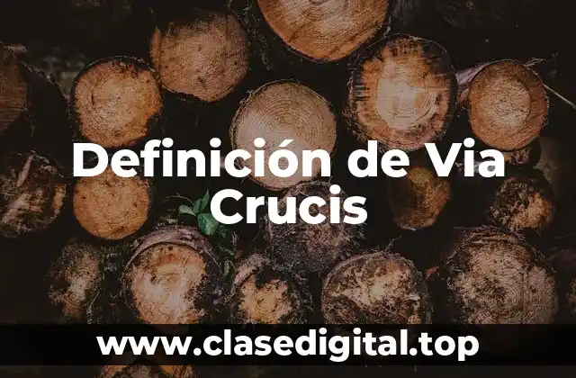 Definición de Via Crucis
