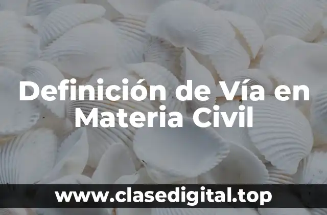Definición de Vía en Materia Civil