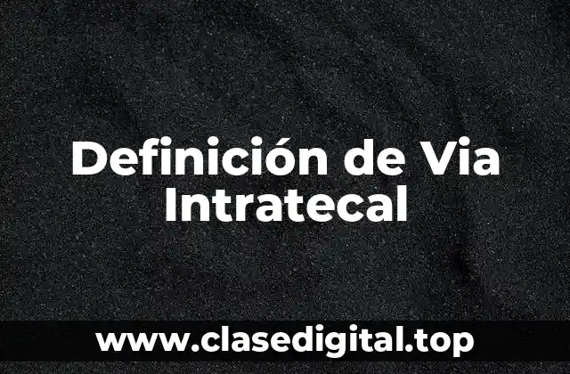 Definición técnica de Via Intratecal