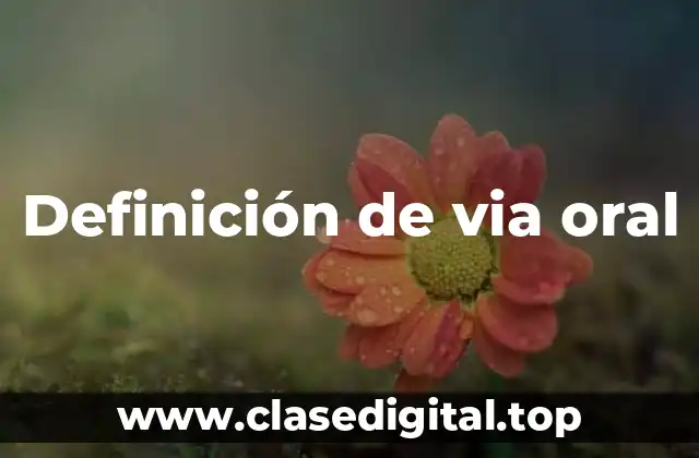 Definición de via oral